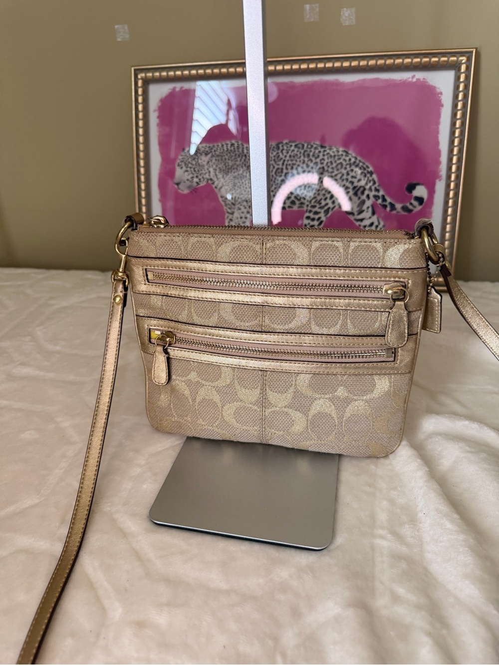 Coach Metallic Beige Signature Crossbody Bag